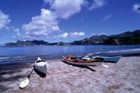 ����: http://www.i-net-japan.co.jp/ogasawara/photo/010.jpg